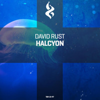 David Rust - Halcyon