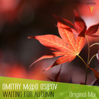 Dmitry M@D Osipov - Waiting For Autumn
