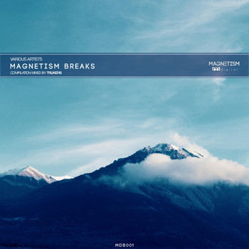Various Artists - Magnetism Breaks