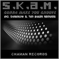 S.K.A.M. - Gonna Make You Groove
