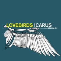 Lovebirds - Icarus
