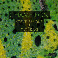 Steve Smoke & Gourski - Chameleon