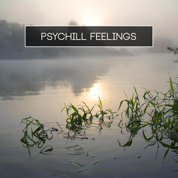 Various Artists - Psychill Feelings