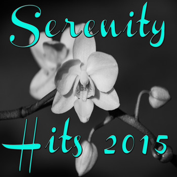 Various Artists - Serenity Hits 2015 (Explicit)