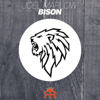 Joel Marlow - Bison