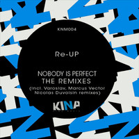 Re-Up - Nobody Is Perfect, The Remixes