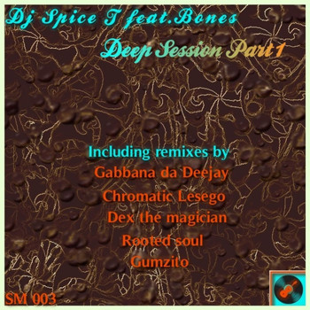 DJ Spice T - Deep Session