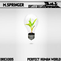 Matthias Springer - Perfect Human World