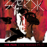 sebrok - The Pain (The Remixes, Pt. 1)
