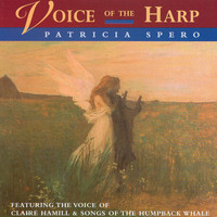 Patricia Spero - Voice of the Harp