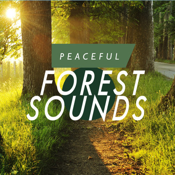 Forest Sounds - Peaceful Forest Sounds