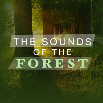 Forest Sounds - The Sounds of the Forest
