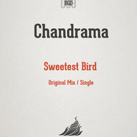 Chandrama - Sweetest Bird