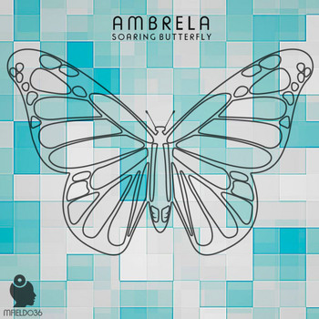 Ambrela - Soaring Butterfly