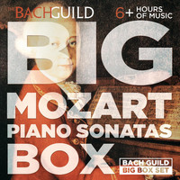 Jeffrey Biegel - Big Mozart Piano Sonatas Box