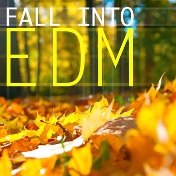 Various Artists - Fall Into EDM