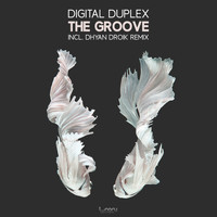 Digital Duplex - The Groove