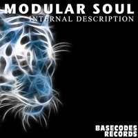 Modular Soul - Internal Discription