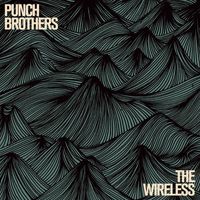 Punch Brothers - Sleek White Baby
