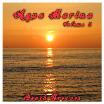 Various Artists - Aqua Marina 5 - The Beach Grooves