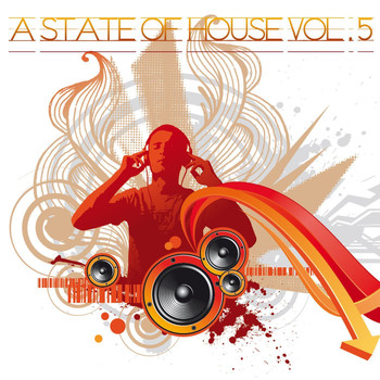 Various Artists - A State Of House Vol. 5