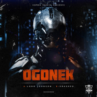 Ogonek - INSANE RECS 009