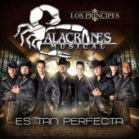 Alacranes Musical - Es Tan Perfecta