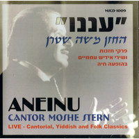 Cantor Moshe Stern - Aneinu