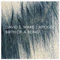 David S. Ware / - Birth Of A Being