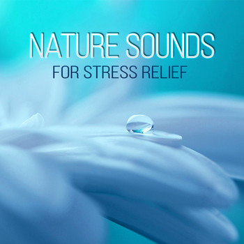 Healing Yoga Meditation Music Consort - Nature Sounds for Stress Relief - Essential Chill Out Music, Yoga and Everything is Possible, Deep Zen Meditation & Wellbeing, Chakra & Yin Yoga Music