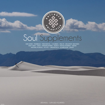 Various Artists - Soul Supplements