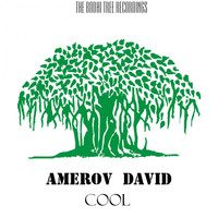Amerov David - Cool