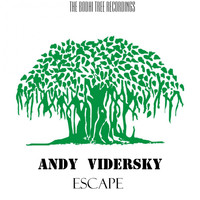 Andy Vidersky - Escape