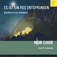 NDR Chor & Philipp Ahmann - Lo, How a Rose E'er Blooming - A Cappella Christmas Carols