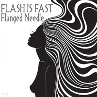 Flash Is Fast - Flanged Needle