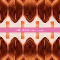 Noonie Bao - Pyramids (Y2K Remix)