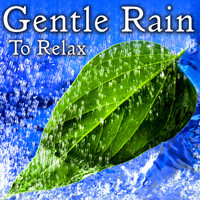 Nature Lounge - Gentle Rain to Relax