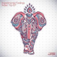 Experimental Feelings - Indian Trip EP