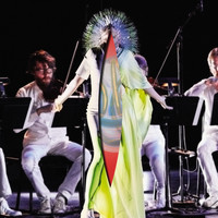 Björk - Vulnicura Strings (The Acoustic Version: Strings, Voice and Viola Organista Only)