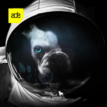 Various Artists - ADE | VML SESSION