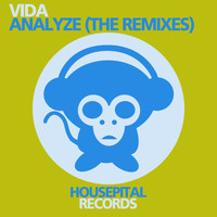 Vida - Analyze (The Remixes)