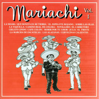Mariachi Sayula - Mariachi Vol. 1