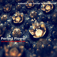 Valentin van Corner - Perfect Flower (feat. Noel Neron)