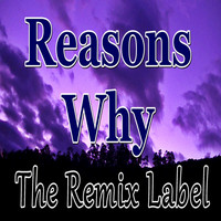 Ketaneo - Reasons Why (Vibrant Proghouse Music Mix)