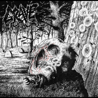 Grave - Necropsy - The Complete Demo Recordings 1986-1991 (Explicit)