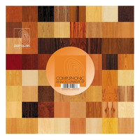 Compuphonic - Analog Sparkles EP