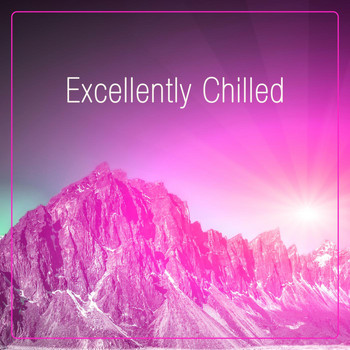 Various Artists - Excellently Chilled