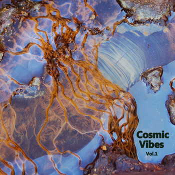 Various Artists - Cosmic Vibes Vol. 1