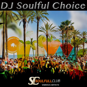 Various Artists - DJ Soulful Choice