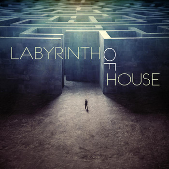 Various Artists - Labyrinth of House